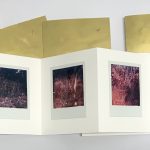 Fotolibro de instantáneas de arte de paisaje de Julia r. Ortega
